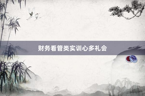 财务看管类实训心多礼会