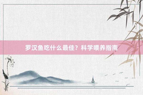 罗汉鱼吃什么最佳？科学喂养指南