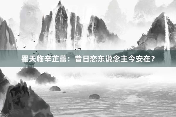 翟天临辛芷蕾：昔日恋东说念主今安在？